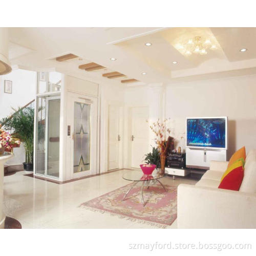 Luxury Home Elevator